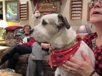 Price's Party Jan 2016 031 : Price's Party Jan 2016